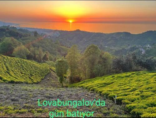 Lova Bungalov