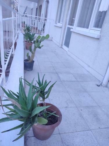 Hostal Erkanhouse