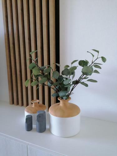 Garden Apartman