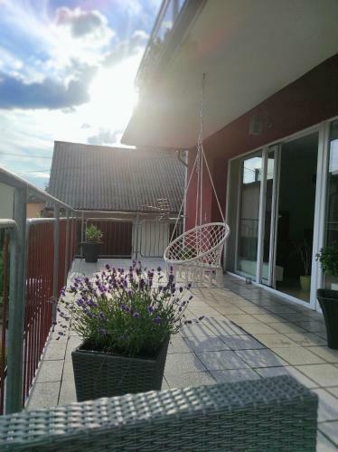 Apartamenty Kotarz
