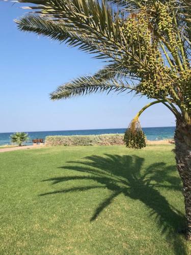 Apartamento Exclusive Royal Sun Penthouse