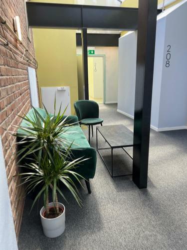 Apartamento Yellow Forest Rooms