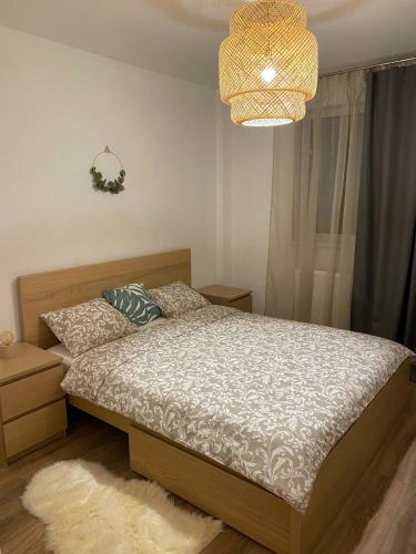 Apartamento Deluxe Eroilor