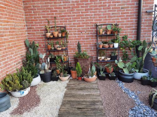 Villa Gio Greenhouse