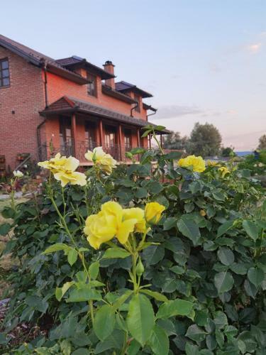 Villa Gio Greenhouse