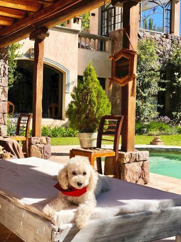 Vine Chateau Apartment