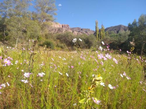 Eco Rancho Andino Cardonal
