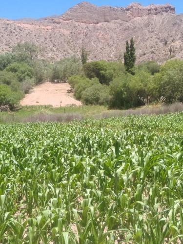 Eco Rancho Andino Cardonal