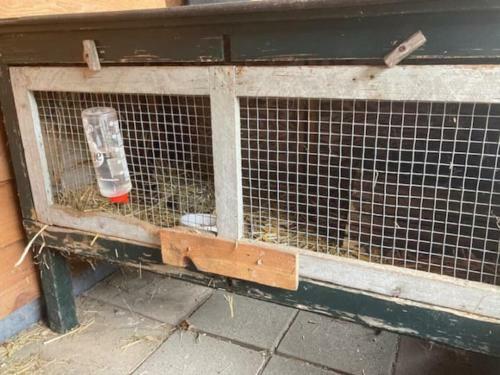 Apartamento Twee-onder-een-kap, Ruime Tuin, Stad