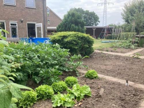 Apartamento Twee-onder-een-kap, Ruime Tuin, Stad