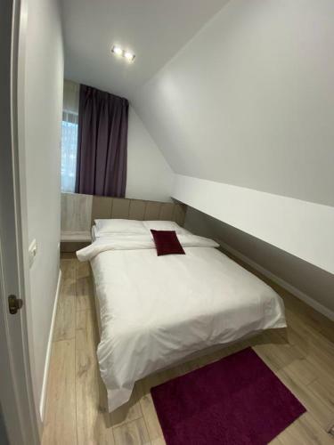 Hostal Pensiunea Casa Zanet