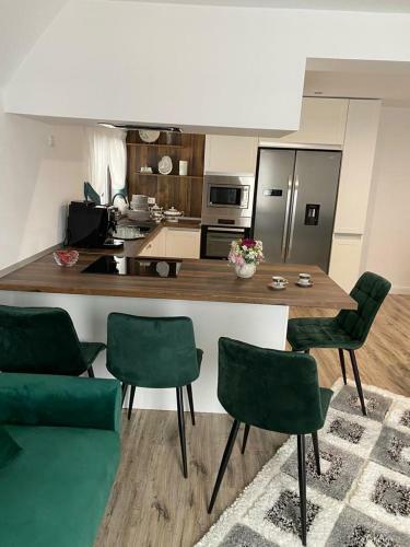 Hostal Pensiunea Casa Zanet