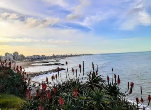 Apartamento La Perla Mdq Departamento