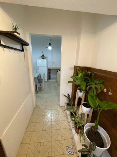 Apartamento Zona Norte Inn