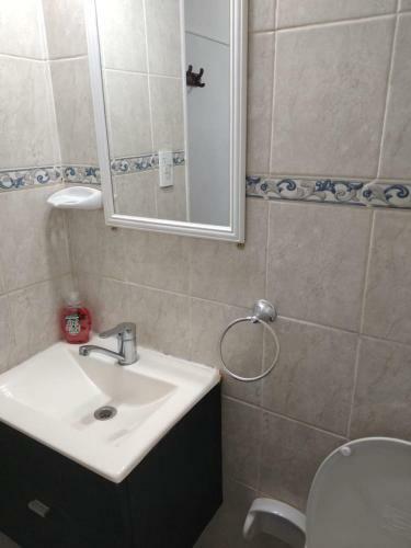 Apartamento Amplio Y Luminoso Monoambiente En Zona Centrica