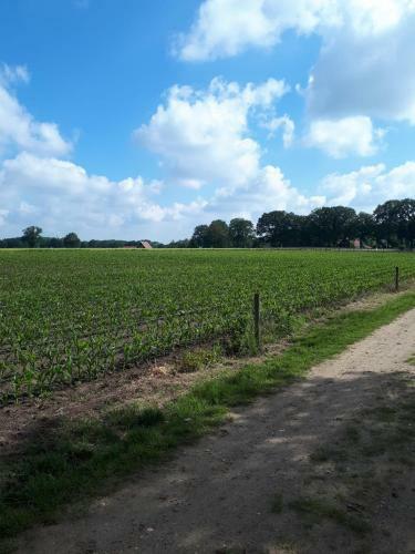 Hostal De Malle Molen