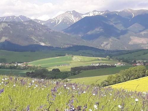 Holiday Home Slovakia Ivachnova 49