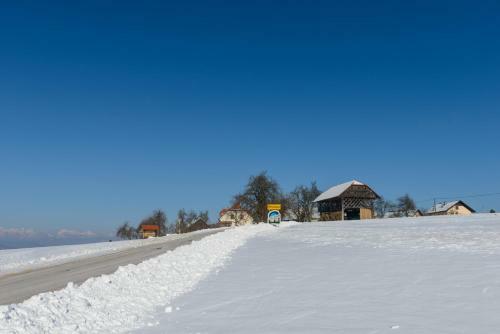 Holiday Home Virida, App Leopold III