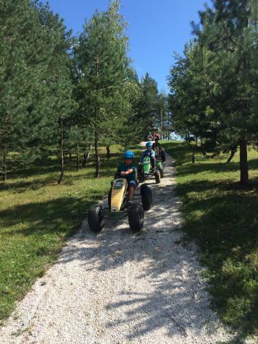Holiday Home Virida, App Leopold III