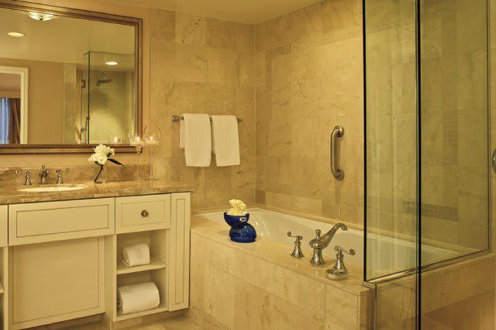 Hotel Ritz Carlton Buckhead
