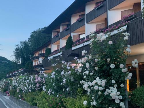 Hotel Comano Cattoni Holiday