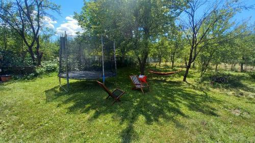 Cabana De Familie Cu Muta Verdea?a