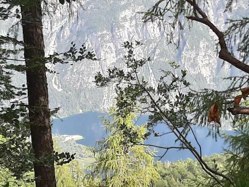 Apartma Bohinj