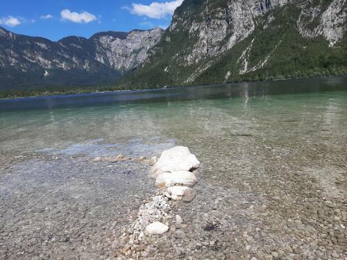 Apartma Bohinj