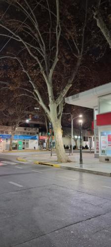 Apartamento Alem 25