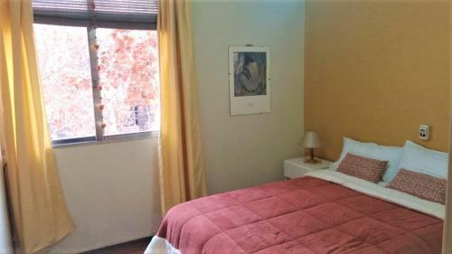 Apartamento Departamento Centrico Mendoza