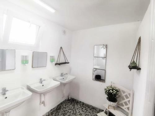 Blue Scai Glamping Brezoi