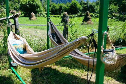 Blue Scai Glamping Brezoi