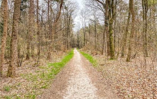 Amazing Home In Dwingeloo With Wifi And 2 Bedrooms