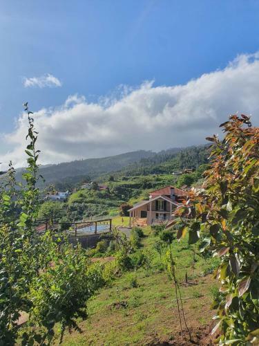Yeotown Madeira Wellness Hotel