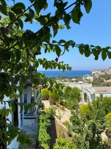 Bodrum G�m�?l�k Rental Villa
