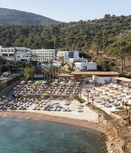 Thor Luxury Hotel Villas