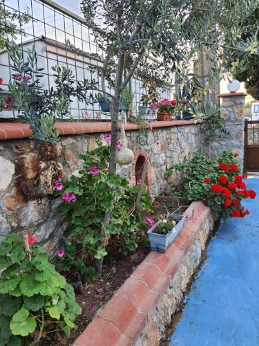Apartamento Stone House Hotel