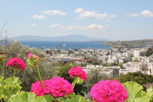 Bodrum Centre Apartment With Sea View And Large Terrace