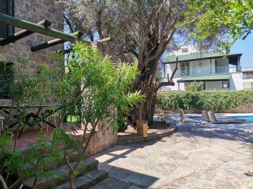 Secret Garden Villas, Private Pool In Yal?kavak