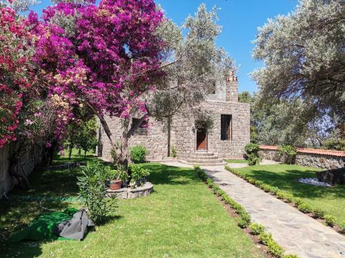 Secret Garden Villas, Private Pool In Yal?kavak