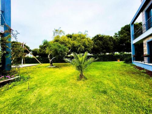 Monarch Suite Bodrum
