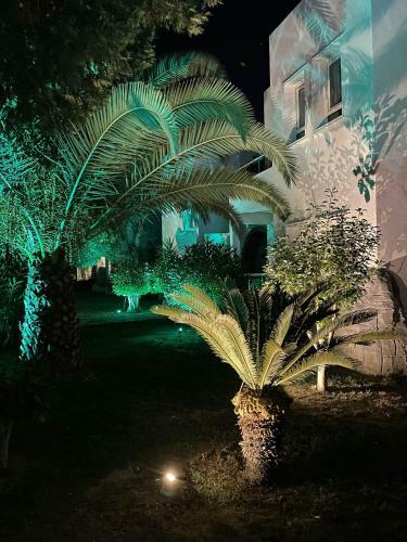 Maja Resort Hotel