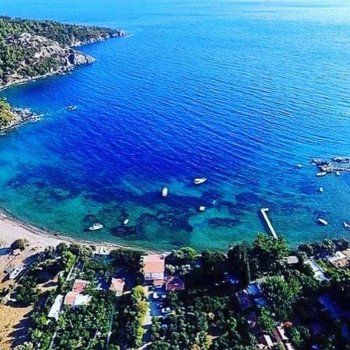 Art Bodrum Mazi Pans?yon