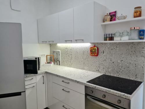Capodistria Apartment