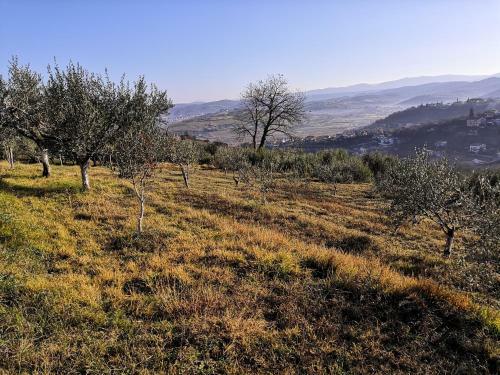 Apartamento Rosemarin