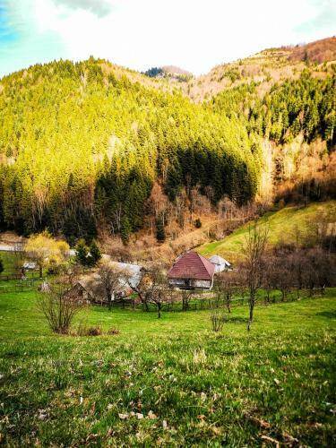 Apuseni Glamping Retreat