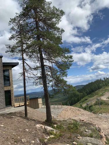 Villa Lyxig Fj�llstuga Med Uppv�rmd Pool