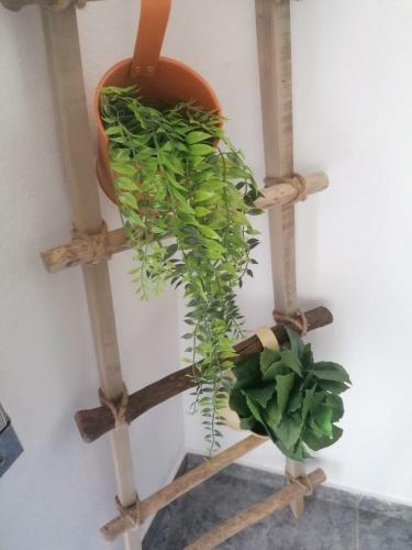 Apartamento Sisters Beach House - Sea View