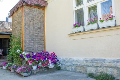 Milenkovi? Guest House