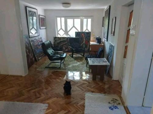 Apartamento Vila Sofija Art